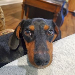 Meet your Posher, Janet